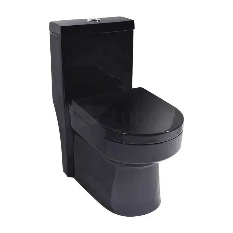 Vaso Sanitário Monobloco Caixa Acoplada Preto Privada Tubrax