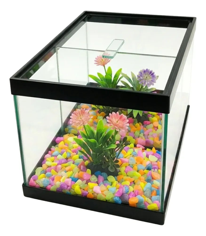 Aquário Duplo N1 20x10x15 Decorado 2 Peixe Betta Planta Fish Icolor 0