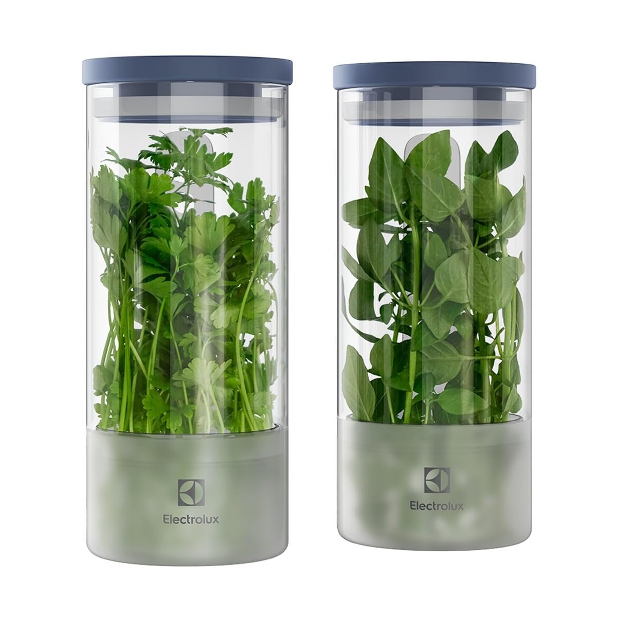 Electrolux Kit 2 Potes Herméticos de Vidro para Temperos Frescos e Hortaliças