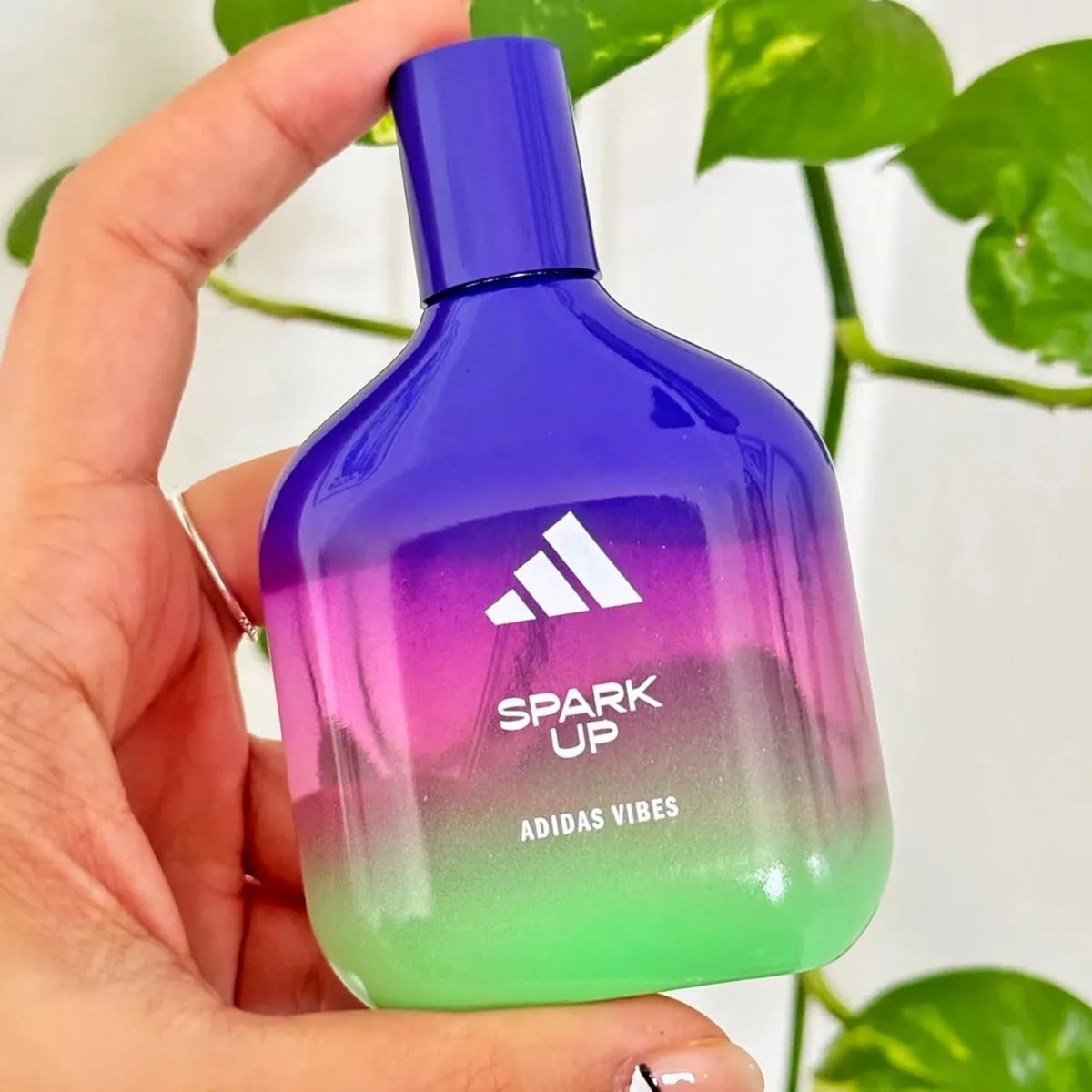 Perfume adidas Vibes Spark Up Eau De Parfum 50ml