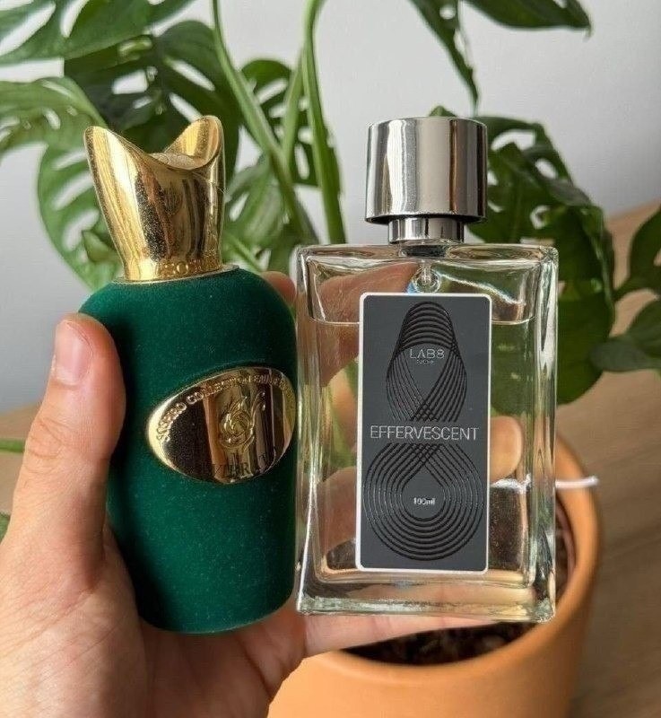 Effervescent Perfume Lab 8 Niche - 100ml