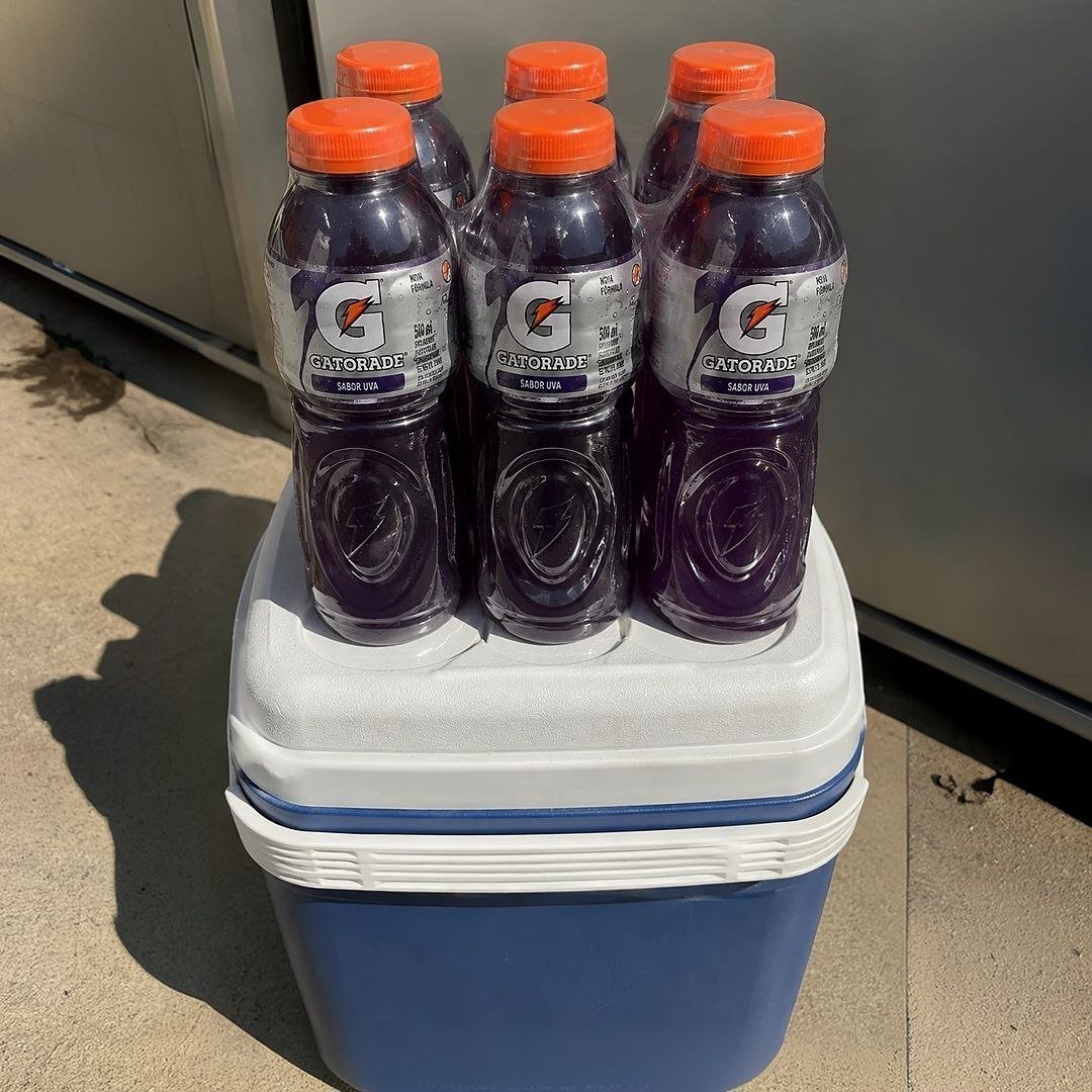 Isotônico Gatorade, Uva, Garrafa 500ml, Pack com 6 unidades