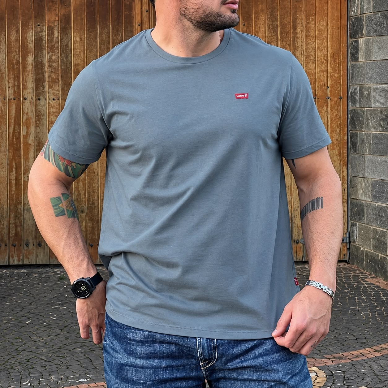 Camiseta Levis Standard Classic (P ao GGG)