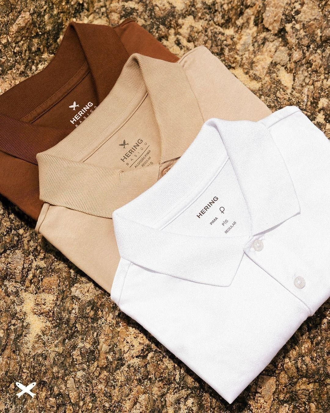 Kit Com 2 Camisas Polo Básicas Masculinas Hering (P ao XG)