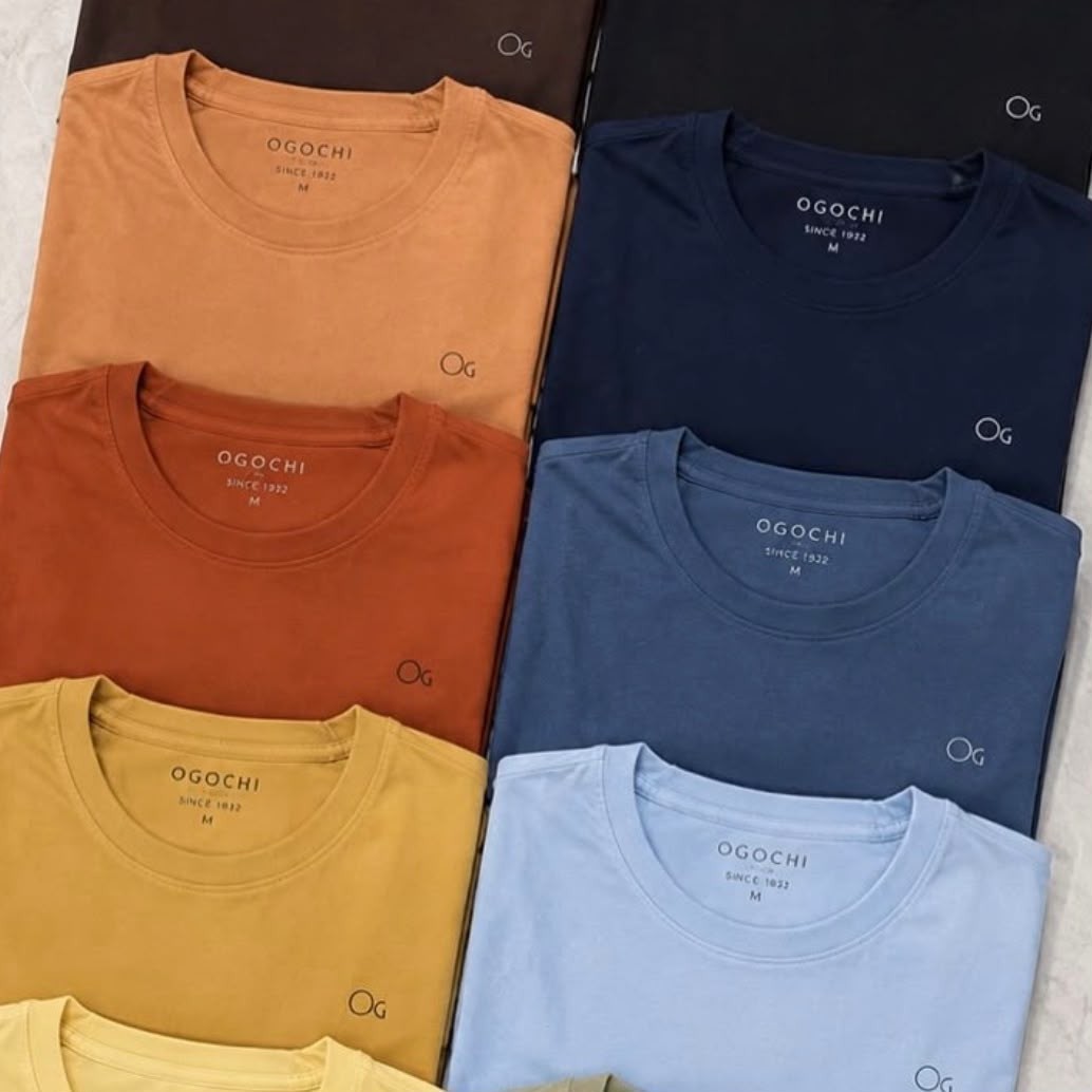 Camiseta Básica Ogochi Masculina Lisa Tecido Premium Oficial (P ao XG)