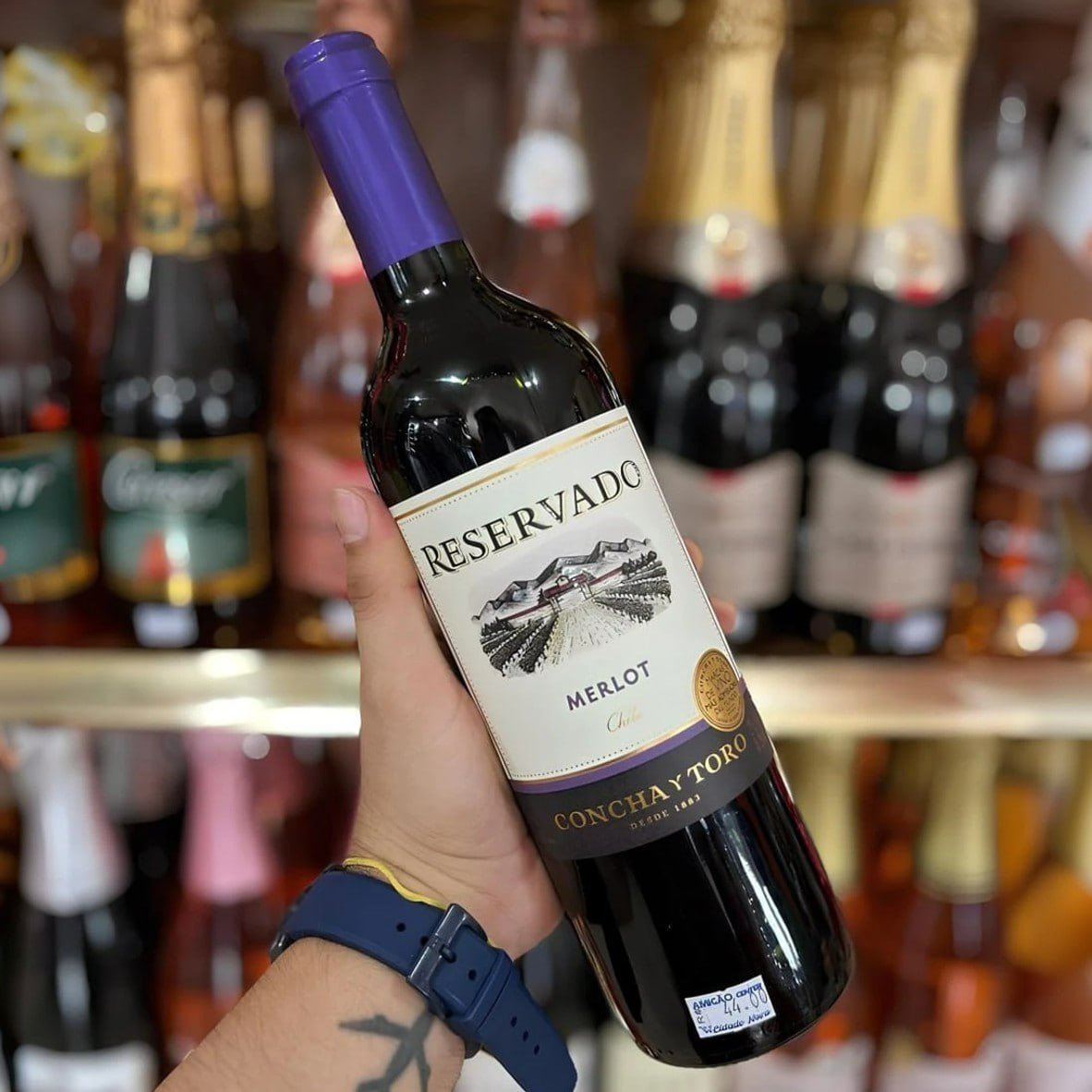 Concha y Toro Reservado Vinho Chileno Merlot 750ml