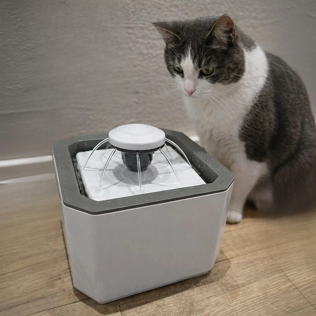 Bebedouro Fonte Automática Para Cães E Gatos Pet 2,5l Usb