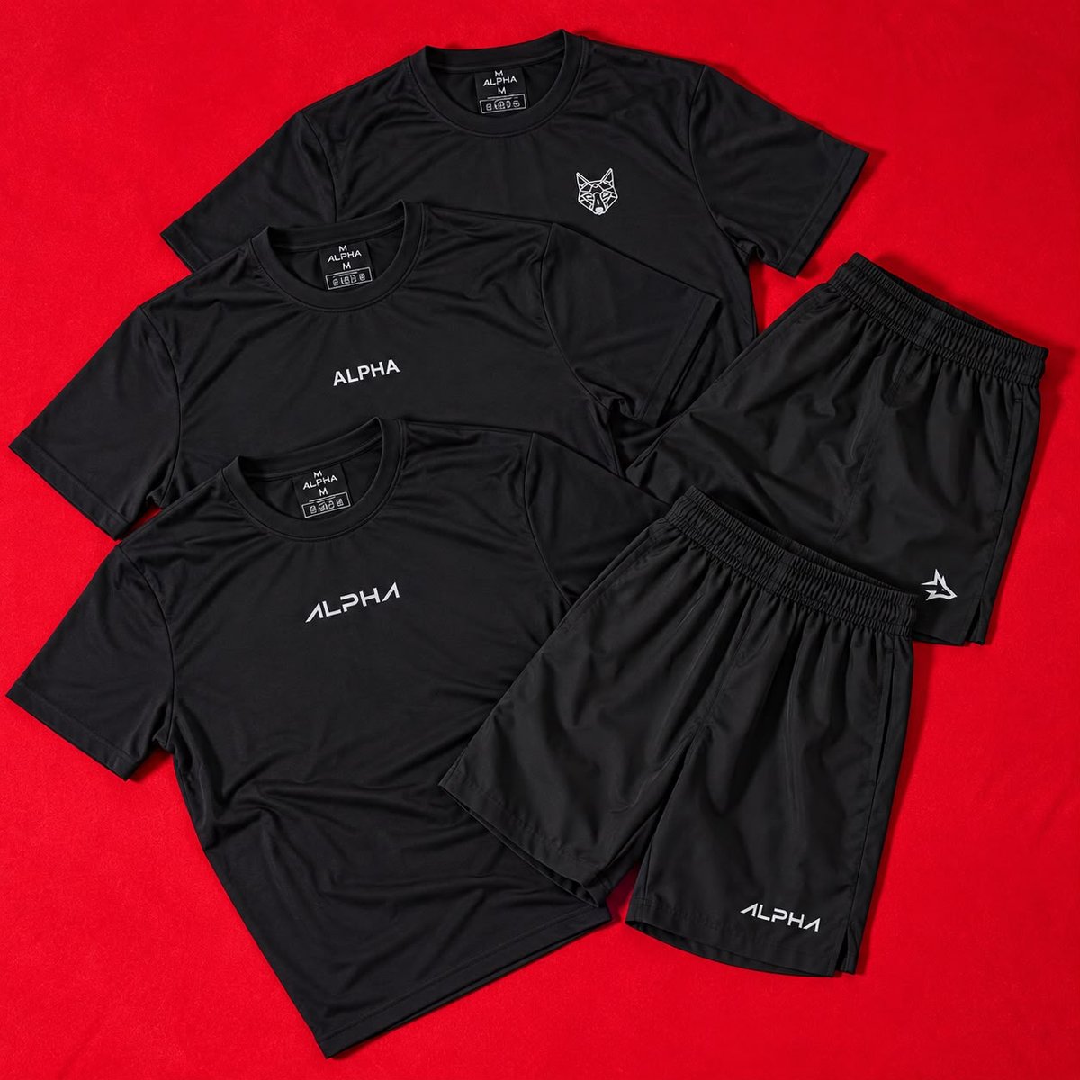 Kit 5 Peças All Black Dry 3 Camisetas E 2 Bermudas Alpha