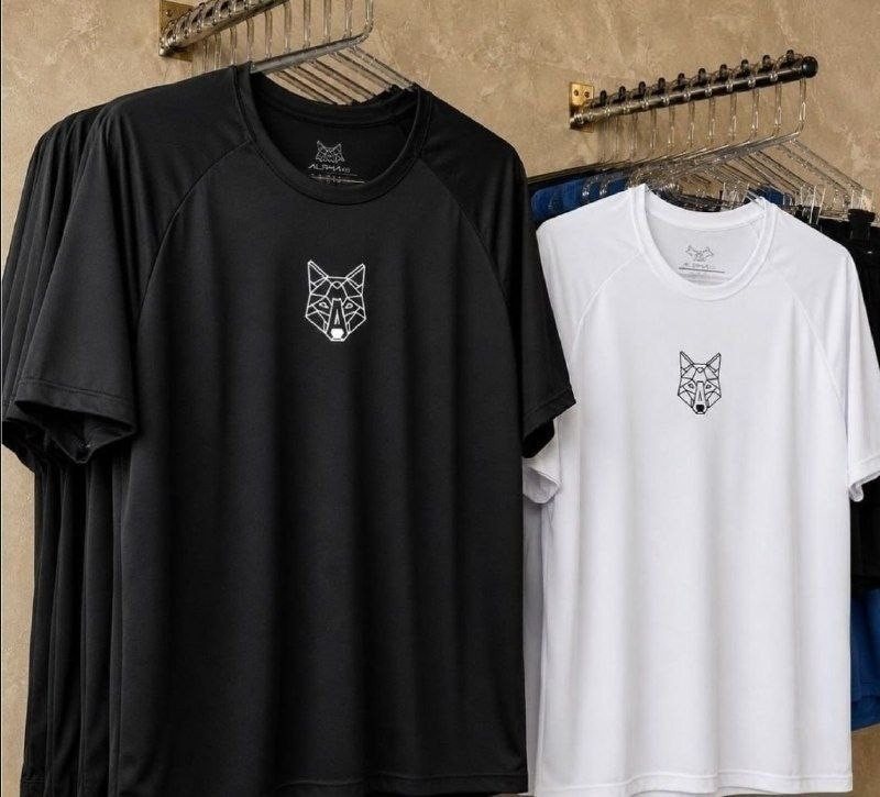 Kit com 2 Camisetas Dry Alpha (P ao XXG)