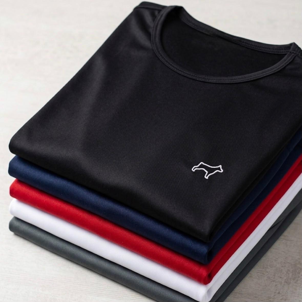 Kit 5 Camisetas Parvori Dry Fit (P ao G2)