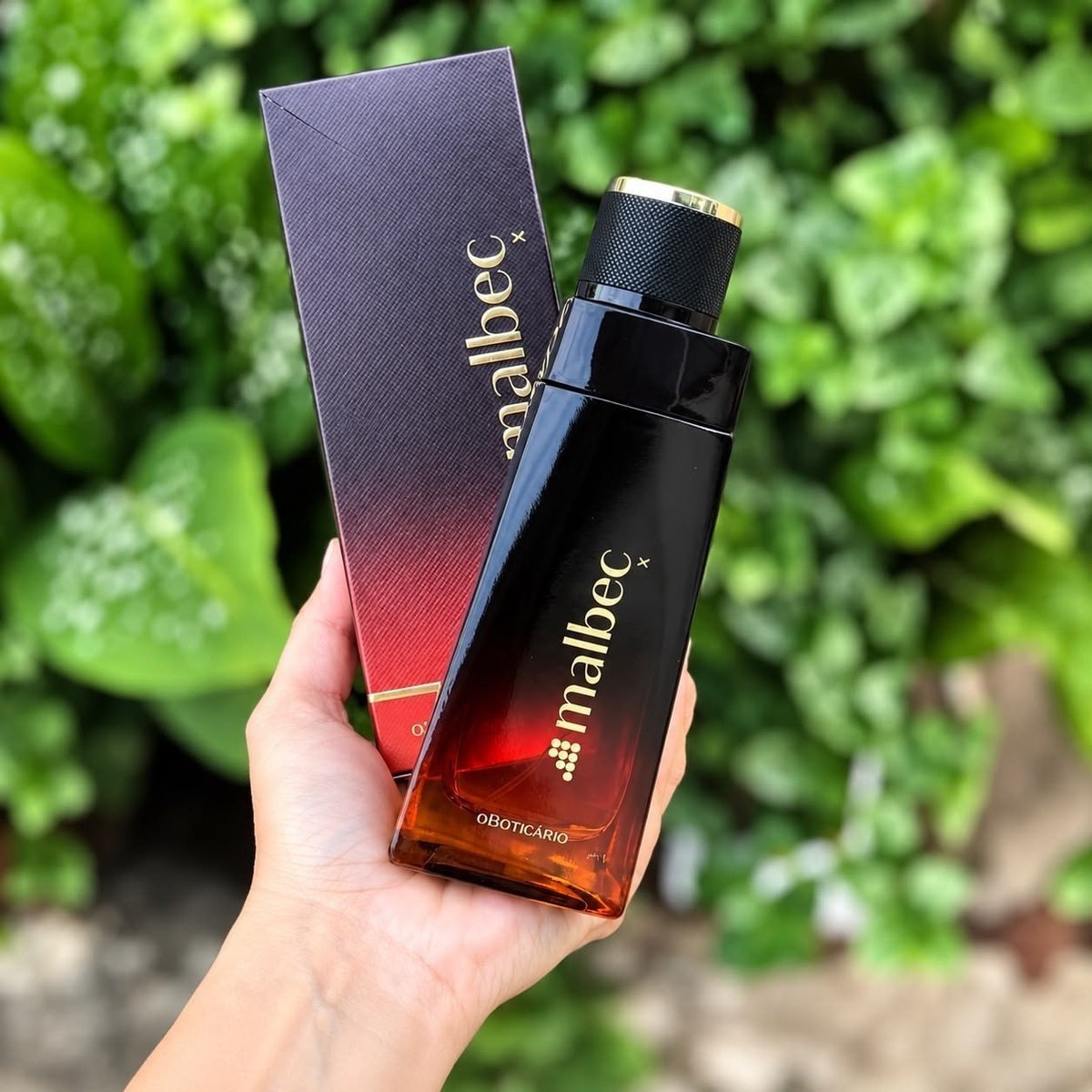 Boticário Malbec X Deo Colônia Masculino 100ml