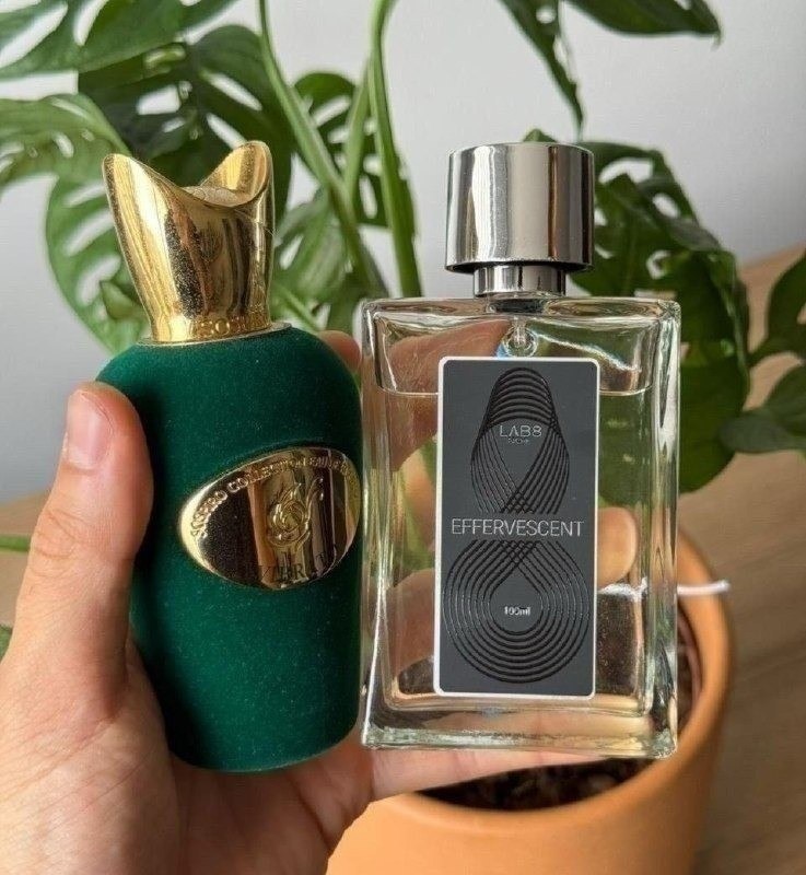 Perfume Lab 8 Niche Effervescent 100ml