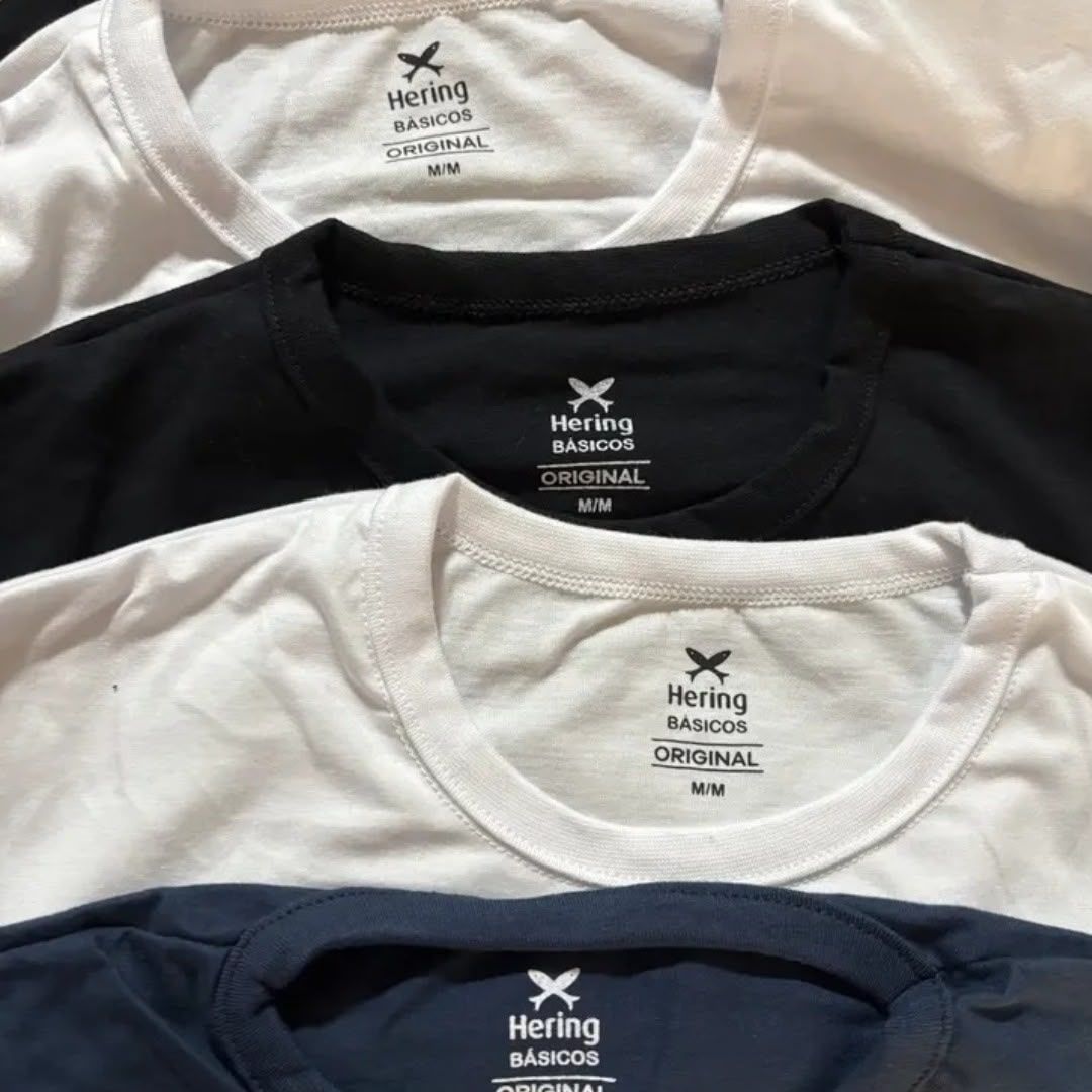 Kit 5 Camisetas Básicas Hering (P ao XG)