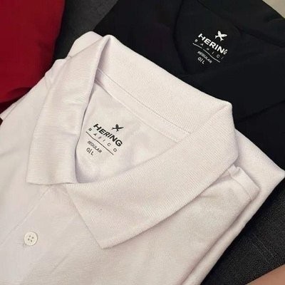 Kit Com 2 Camisas Polo Básicas Masculinas Hering