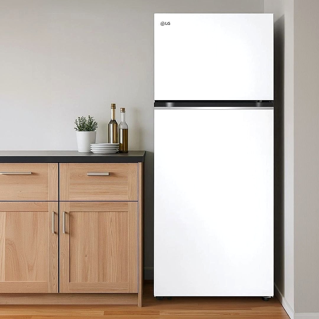 🧊 Geladeira LG Frost Free Inverter 395l Duplex 220v