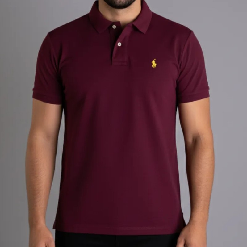 Camisa Polo Ralph Lauren Masculina Basica Algodão Piquet (P ao G1)