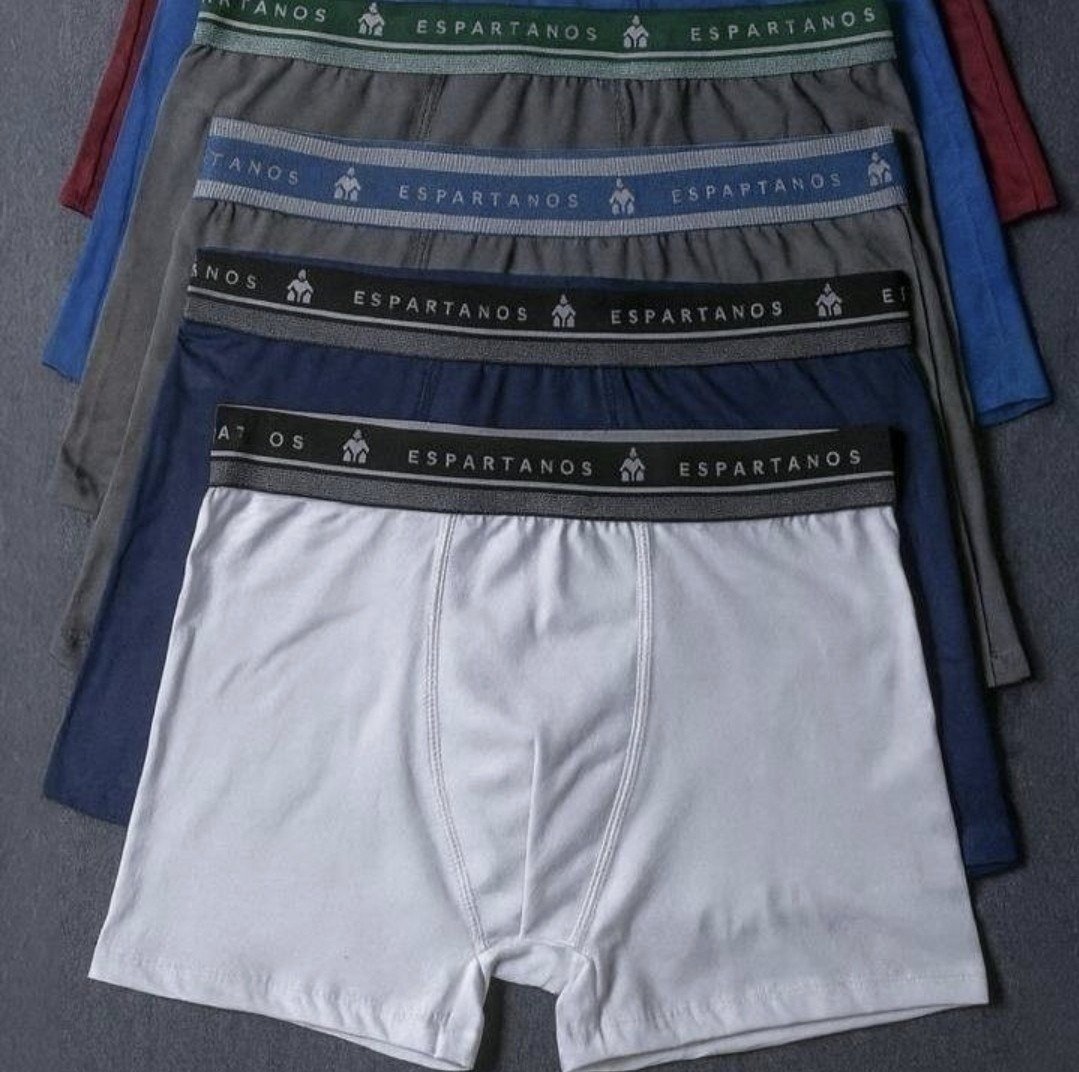 Kit Com 10 Cuecas Boxer Masculina Microfibra Original (P ao GG)