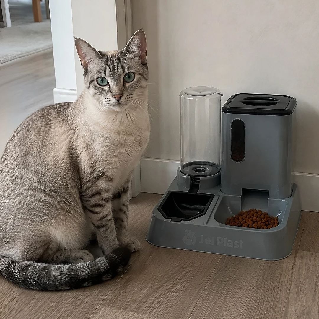 Comedouro Bebedouro Pet Automático Para Gatos Kit Garrafinha Dispense Ração Duplo