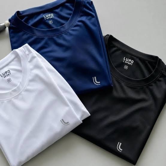 Kit 2 Camiseta Dry Masculina Fit Lupo Básica Academia