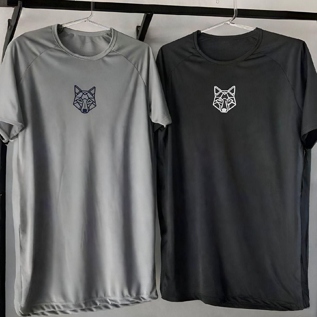 Kit 2 Camisetas Masculina Dry Alpha (P ao XXG)