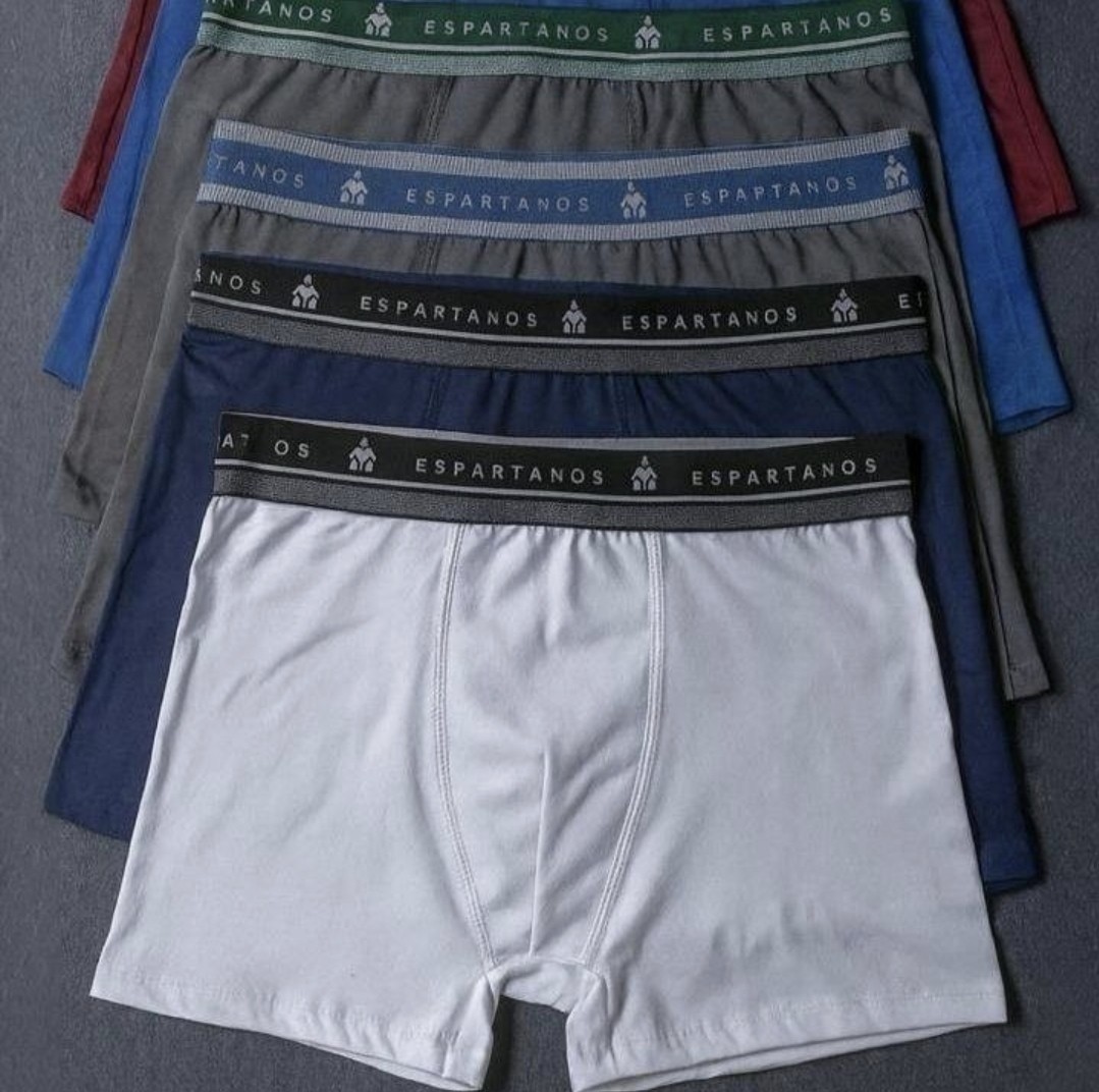 Kit Com 10 Cuecas Boxer Masculina Microfibra Original (P ao GG)