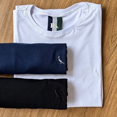 Kit Duas Camisetas Regular Essence (P ao GG)