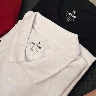 Kit Com 2 Camisas Polo Básicas Masculinas Hering (P ao XXG)