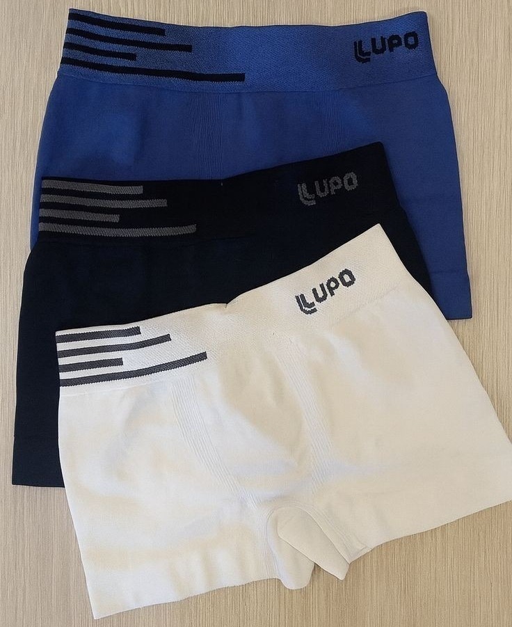 Kit 6 Cuecas Lupo Boxer Box Sem Costura Basic Microfibra (P ao GG)